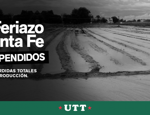 LA UTT SUSPENDE LOS FERIAZOS POR PERDIDAS TOTALES EN LA PRODUCCIÓN