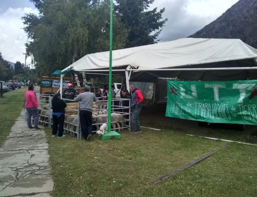 Corderazo en Lago Puelo y el Paralelo 42