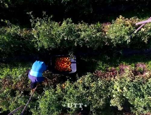 El glifosato es veneno y el modelo del agronegocio también