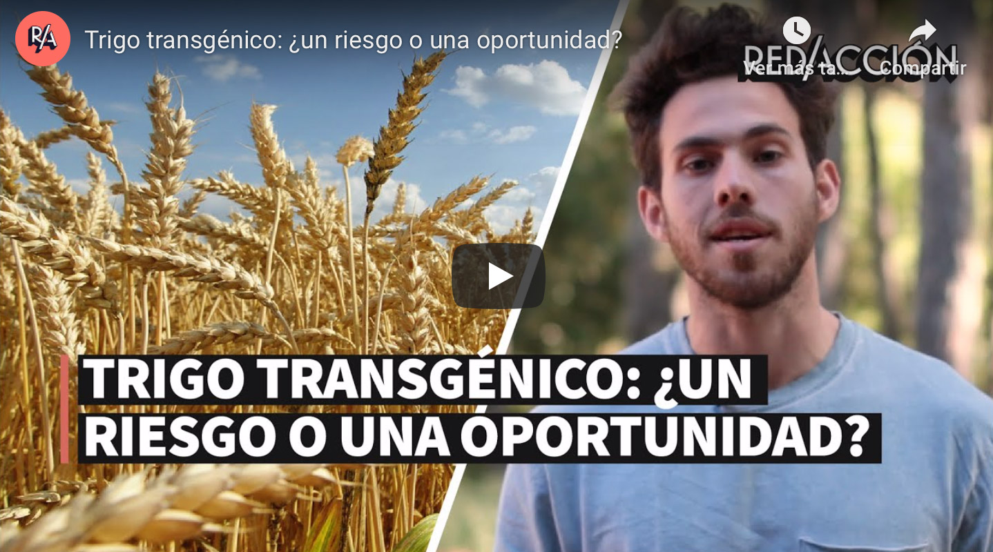 Captura-de-Pantalla-2021-01-08-a-la(s)-19.59.00