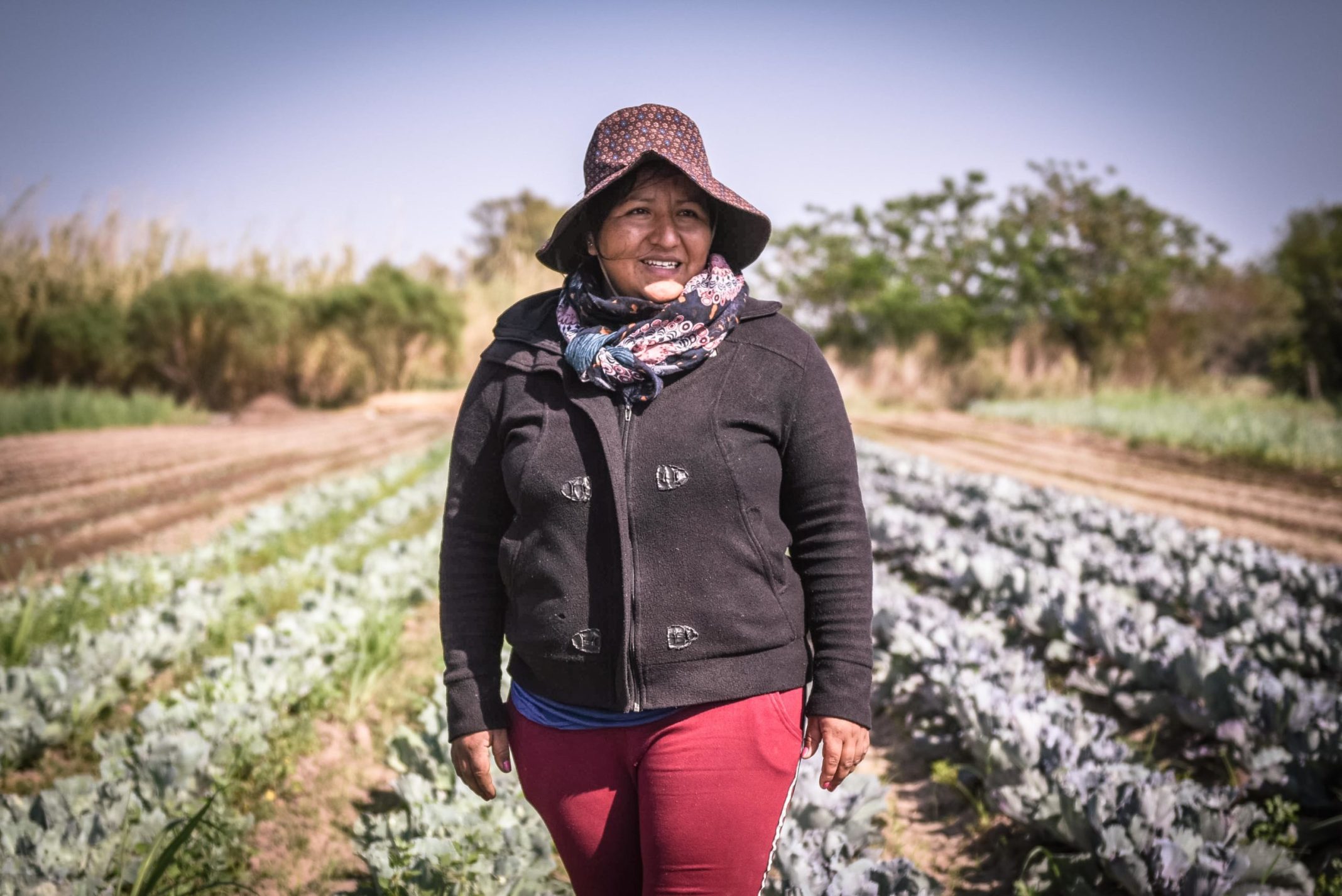 Predio-produccion-agroecologica-scaled