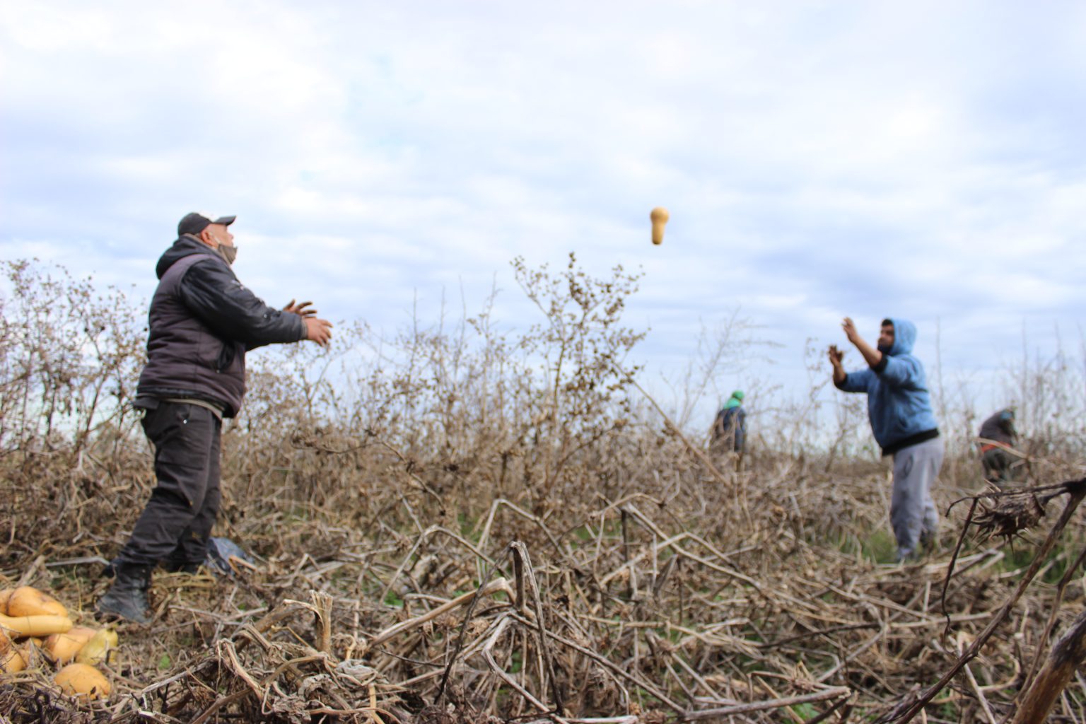 IMG_0783-1536×1024