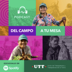 Del campo a tu mesa