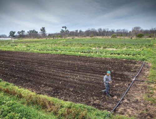 Las Colonias Agroecológicas de la UTT, un modelo argentino reconocido en la ONU