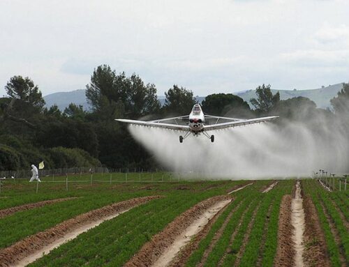 Ley de agroquímicos: es necesario un Estado que acompañe, fiscalice y no deje zonas grises