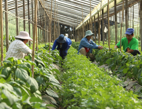 Más producción y menos ingresos para quienes trabajan la tierra