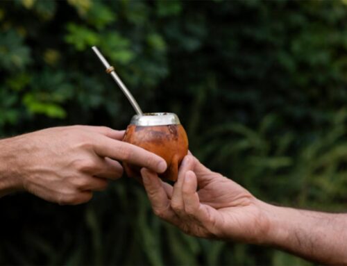 Yerba Mate con Vos: radiografía de un sector altamente concentrado