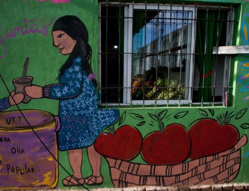 El 2026 será el Año Internacional de la Mujer Agricultora